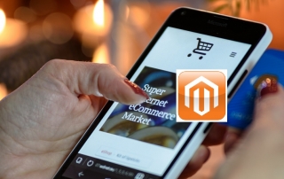 Magento Web Developer in Los Angeles